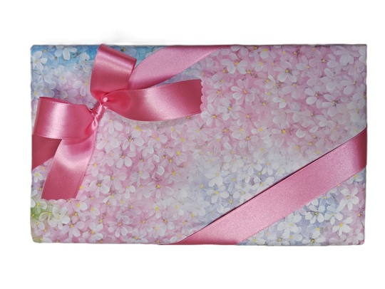 ラッピング見本ページ ラッピングサービス - ガレージシャンティ（GARAGE SHANTI）